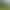 Golf Course Membership Cost in 2026: What 1,259 Clubs Actually Charge