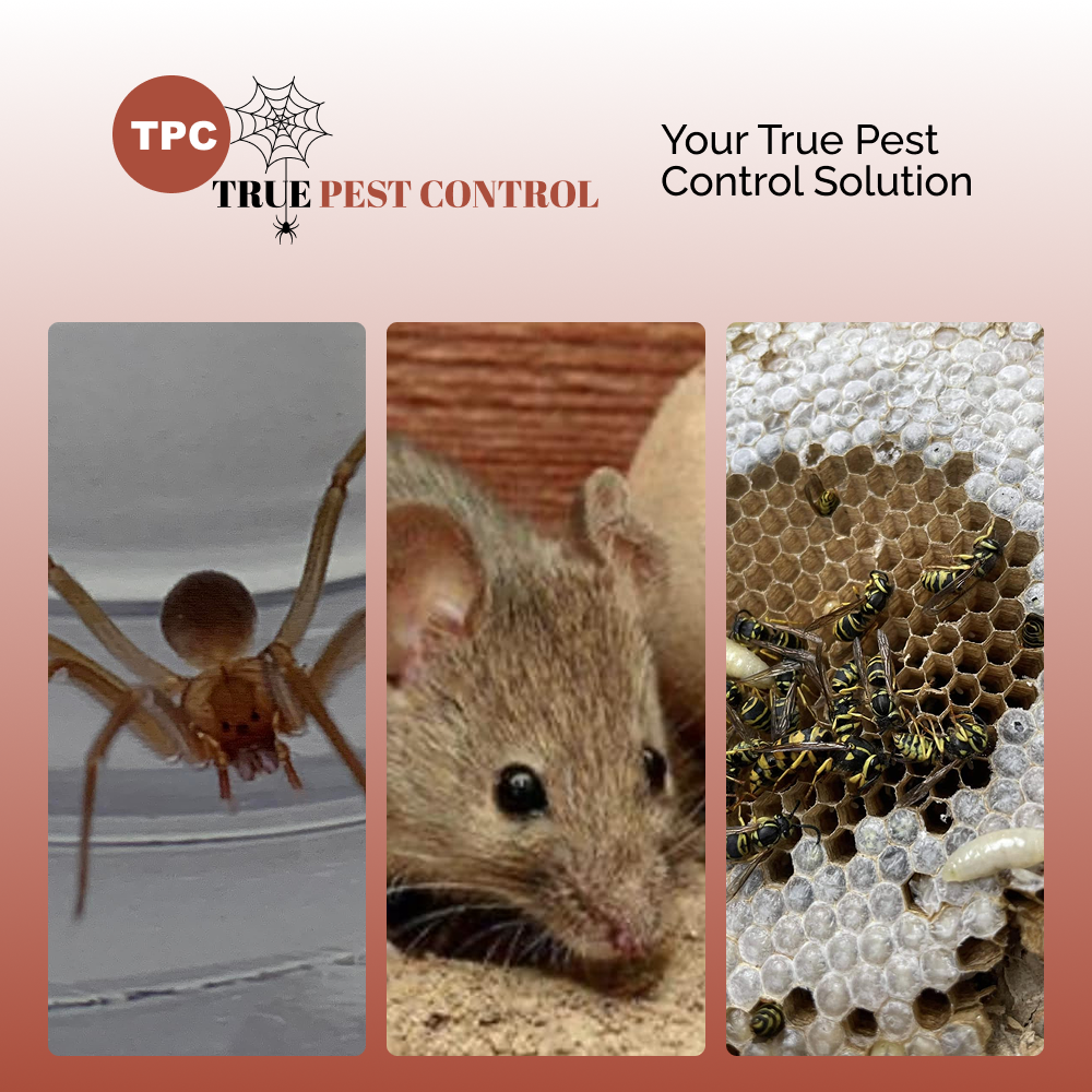 True Pest Control
