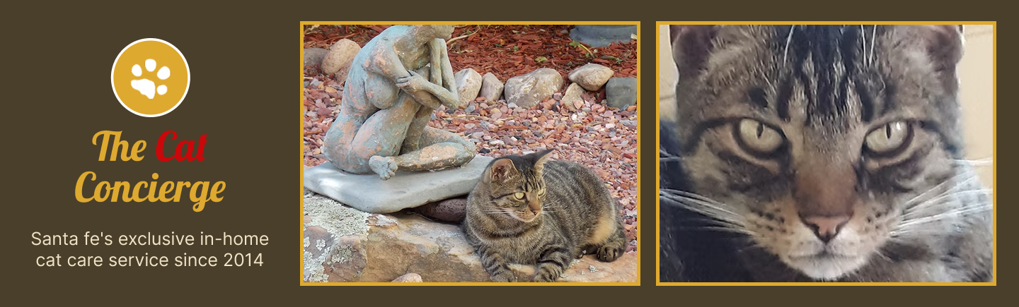 The Cat Concierge Santa Fe