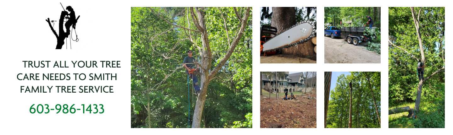 Smith Family Tree Service LLC