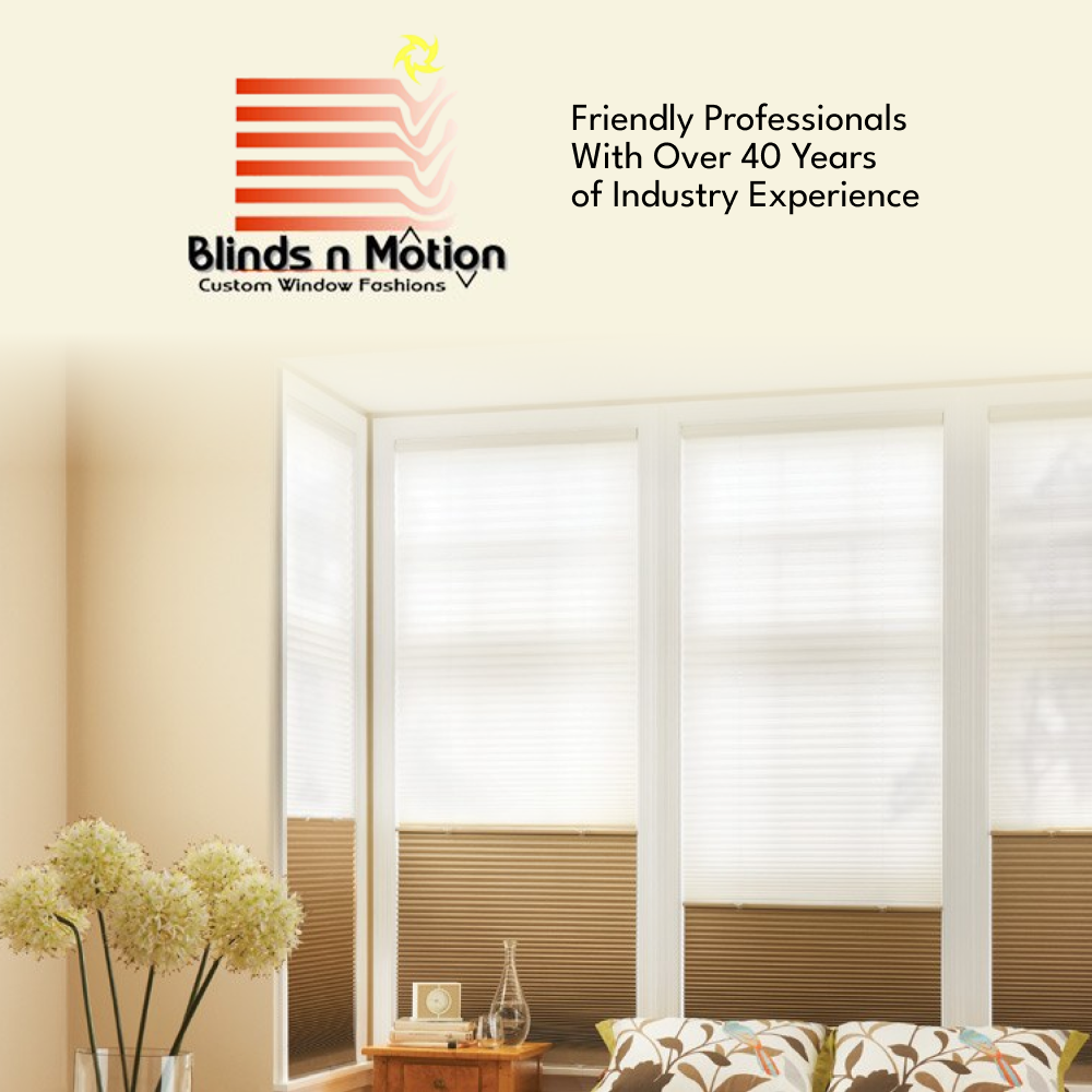 Blinds N Motion