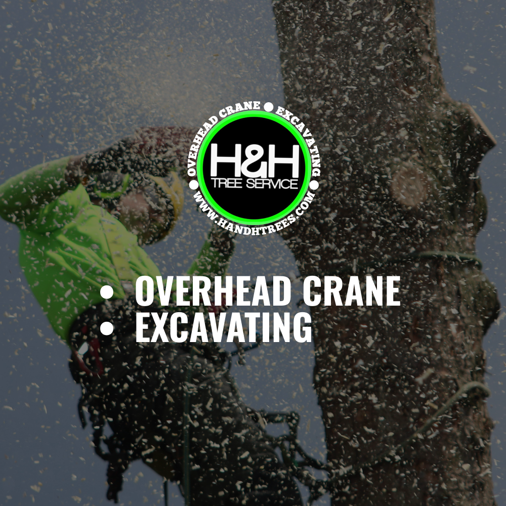 H & H Tree & Crane Service