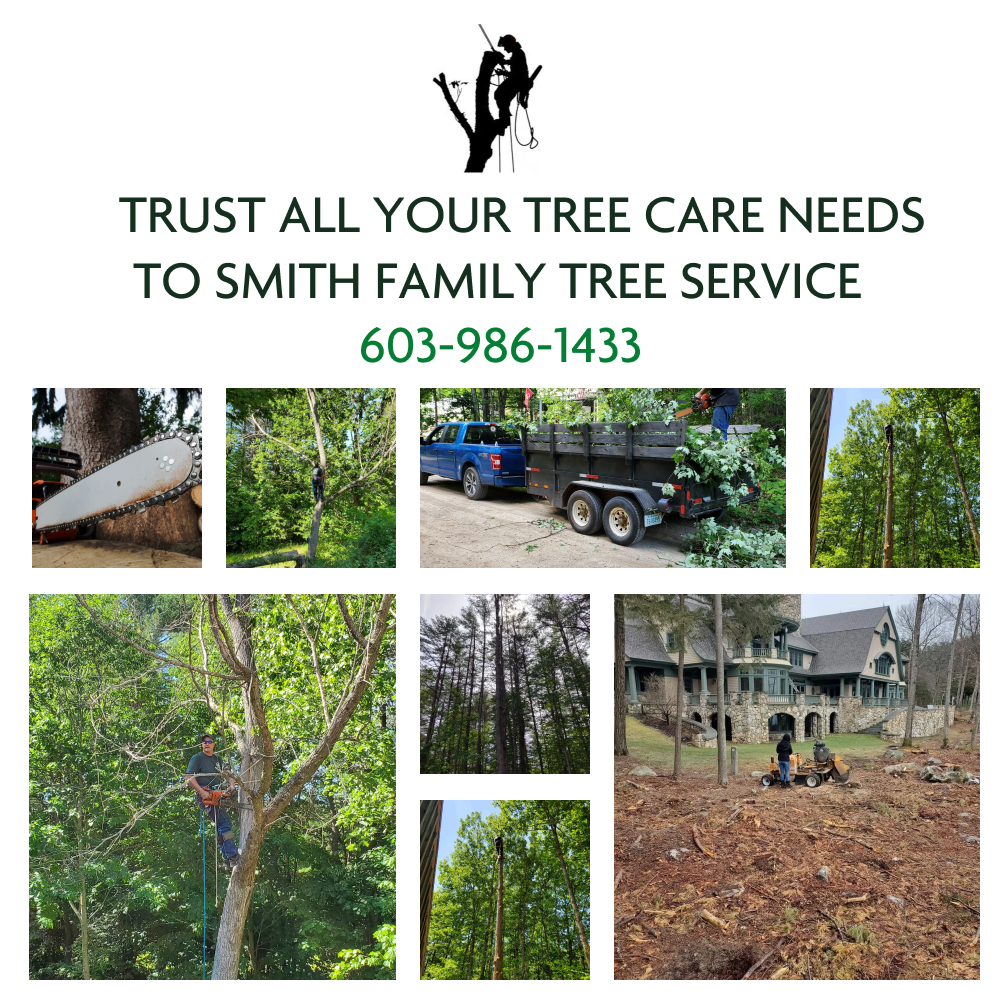 Smith Family Tree Service LLC