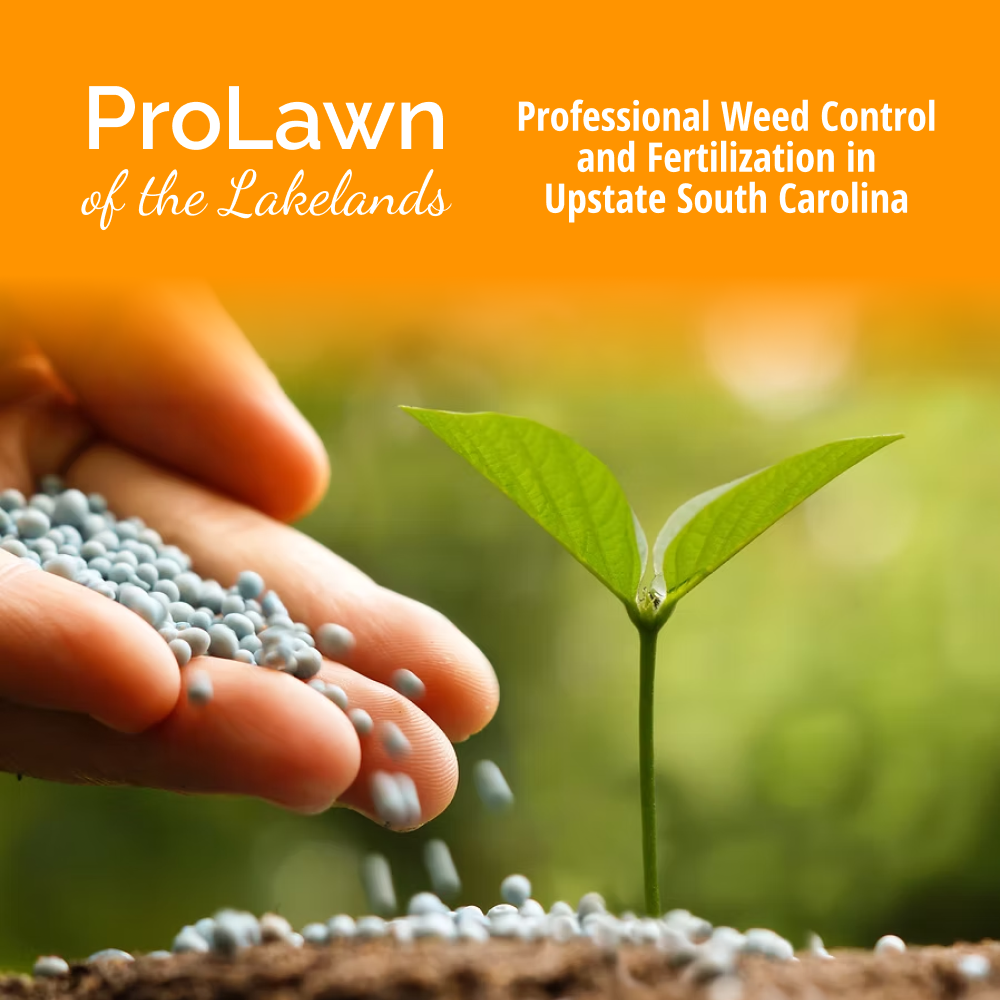 ProLawn of the Lakelands